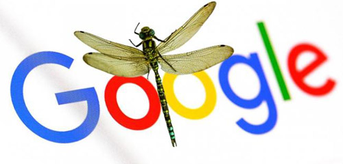 谷歌官宣正式放弃中国特制版搜索引擎项目“蜻蜓” 谷歌 微新闻 第1张
